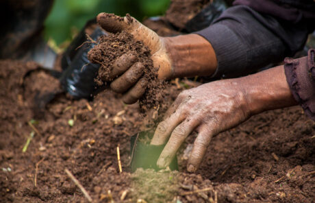Photo d'une main remuant la terre