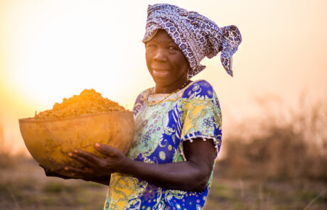 Le sommet des Nations Unies sur les systèmes alimentaires : une occasion manquée.