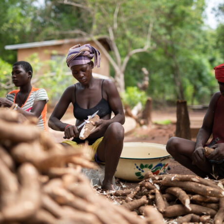 Libre de choisir : reportage