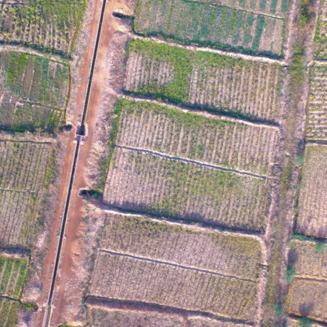 Yiéga : reportage primaire