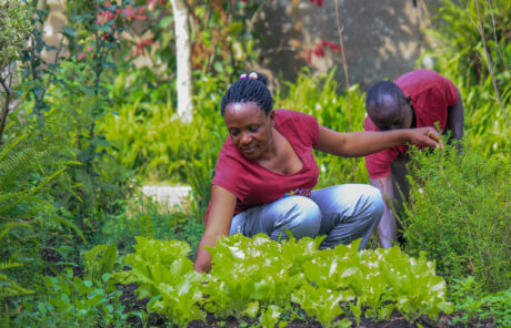 Pour quels résultats sur le terrain ?