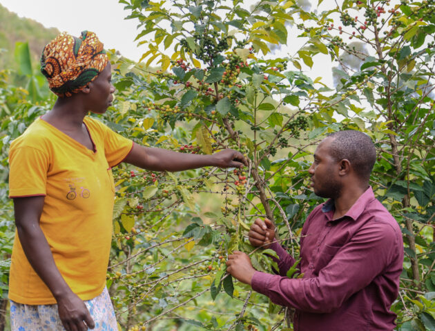 Partage d'expériences