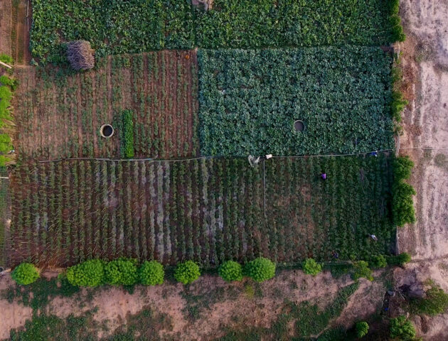 Et l’agroécologie dans tout ça ?