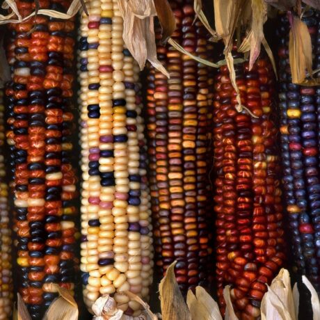 Préjugés et stéréotypes