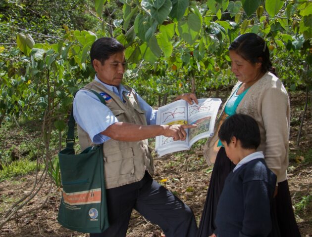 Rapport d'activités