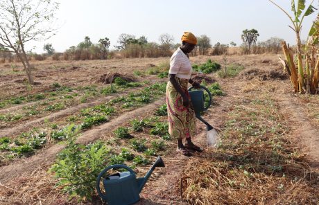 Soutien de la Fondation Atoz Luxembourg !