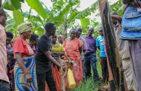 Nouveau soutien du Lions Club Mameranus !