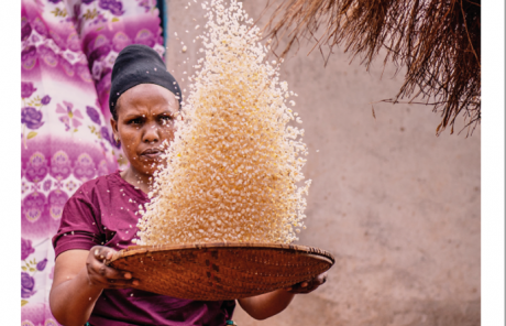 Sortie du Transitions N°137 !