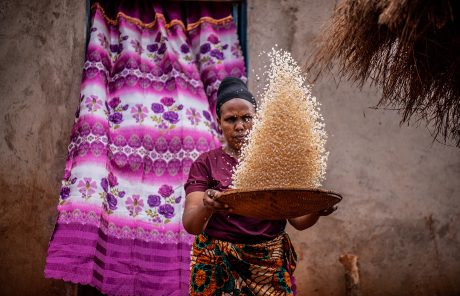 Rapport d'activités 2022