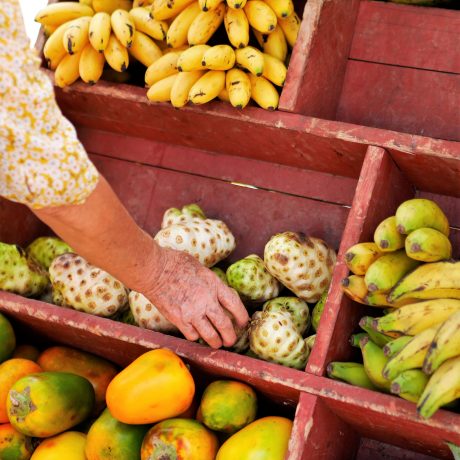 Kirungi – Alimentation durable en Ouganda : reportage