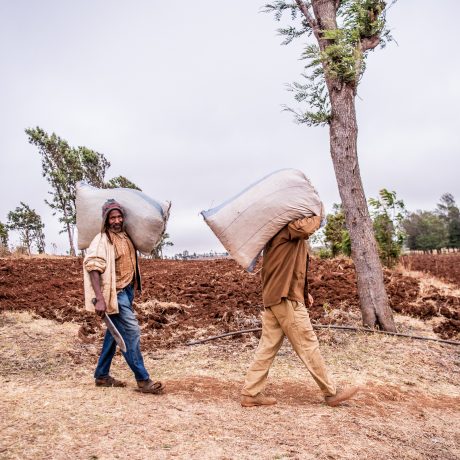 Chroniques climatiques : Histoires d’humains et de climat