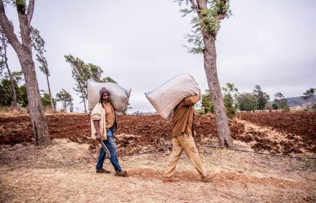 Sortie du Transitions N°141 : En 2024, Iles de Paix ne se résignera toujours pas !