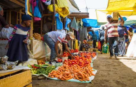 Sortie du Transitions N°142