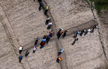 Sortie du Transitions N°145