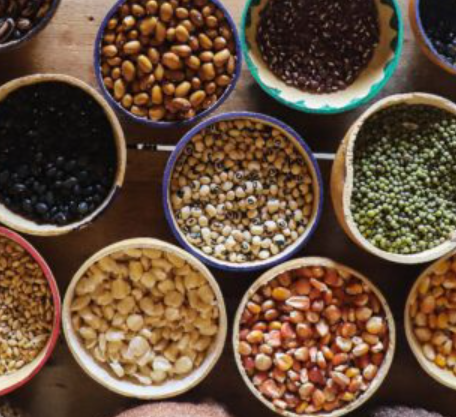 Graines de changement : reportage