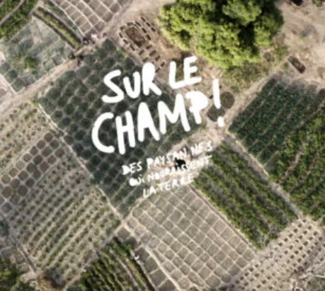« Sur le champ ! » : documentaire