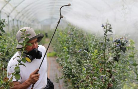 Sortie du Transitions N°136 ! Pesticides : le boomerang empoisonné de l'Europe